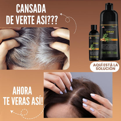 SHAMPOO CHAO CANAS + TRATAMIENTO